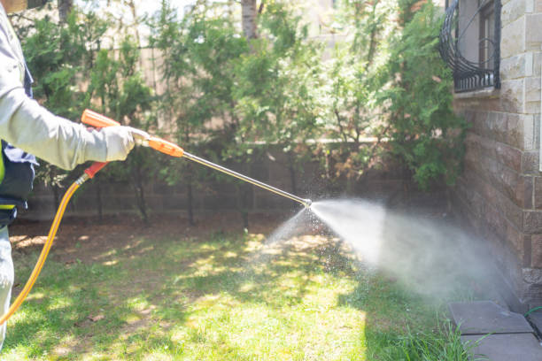 Best Seasonal Pest Control (e.g., summer mosquitoes, winter rodents)  in Pleasantville, NY